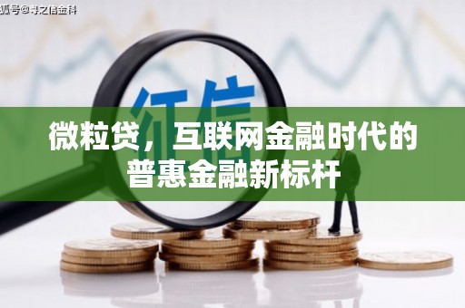 芦洲微粒贷，互联网金融时代的普惠金融新标杆