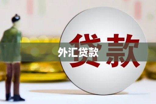 芦洲外汇贷款