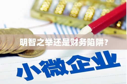 芦洲明智之举还是财务陷阱？