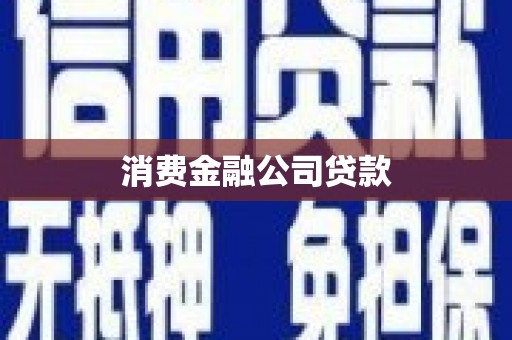 芦洲消费金融公司贷款