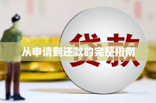 芦洲从申请到还款的完整指南
