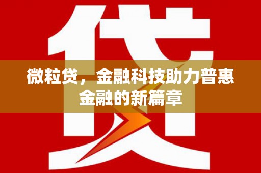 芦洲微粒贷，金融科技助力普惠金融的新篇章