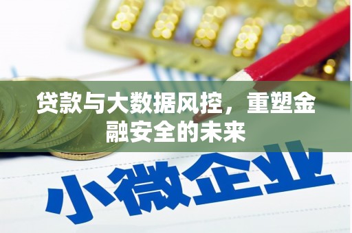 芦洲贷款与大数据风控，重塑金融安全的未来