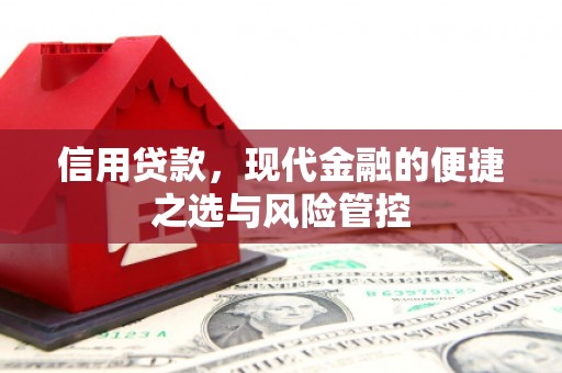 芦洲信用贷款，现代金融的便捷之选与风险管控