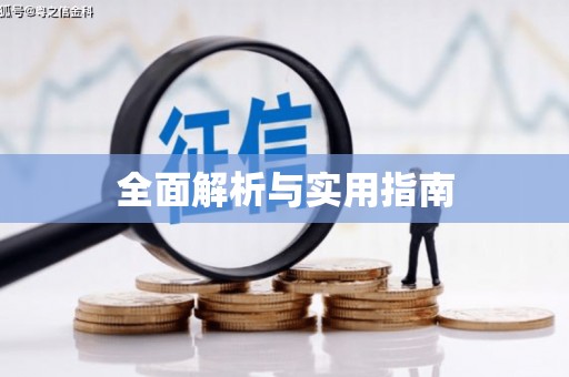 芦洲全面解析与实用指南