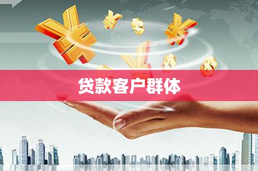 芦洲贷款客户群体