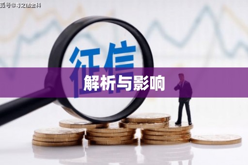 芦洲解析与影响