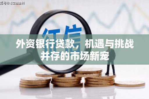 芦洲外资银行贷款，机遇与挑战并存的市场新宠