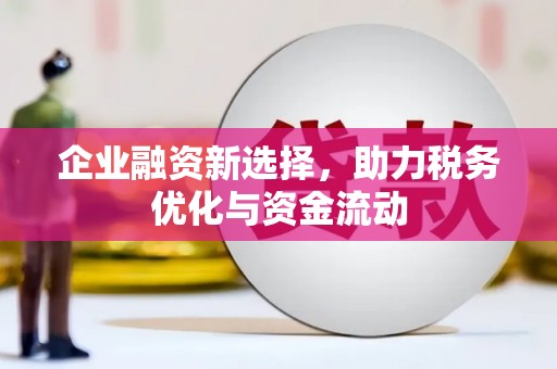 芦洲企业融资新选择，助力税务优化与资金流动