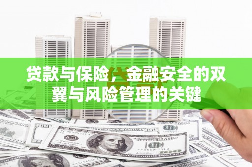 芦洲贷款与保险，金融安全的双翼与风险管理的关键
