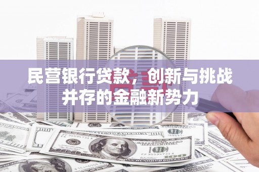 芦洲民营银行贷款，创新与挑战并存的金融新势力