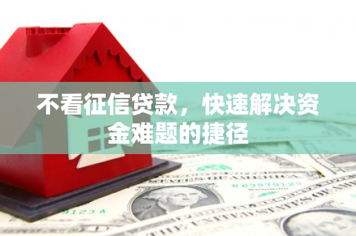 芦洲不看征信贷款，快速解决资金难题的捷径