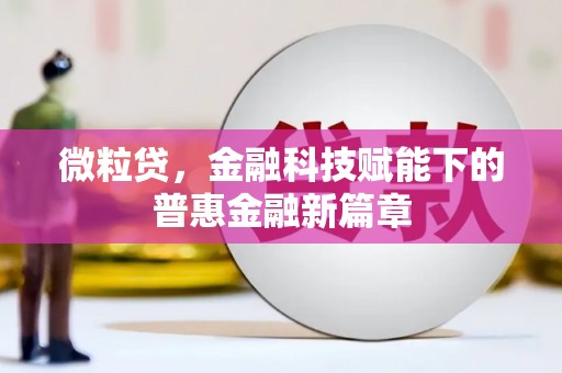 芦洲微粒贷，金融科技赋能下的普惠金融新篇章