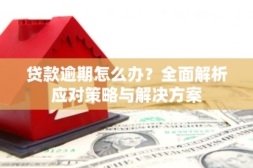 芦洲贷款逾期怎么办？全面解析应对策略与解决方案