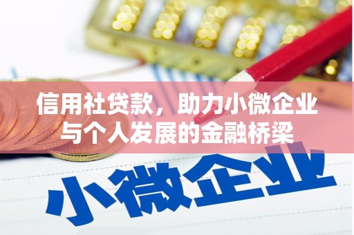 芦洲信用社贷款，助力小微企业与个人发展的金融桥梁