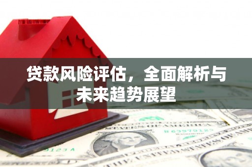 芦洲贷款风险评估，全面解析与未来趋势展望