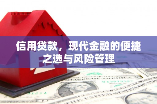 芦洲信用贷款，现代金融的便捷之选与风险管理