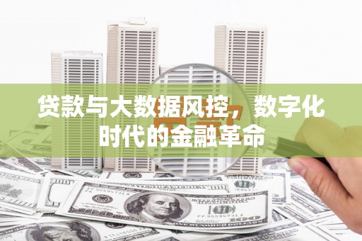 芦洲贷款与大数据风控，数字化时代的金融革命