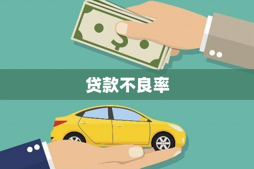 芦洲贷款不良率