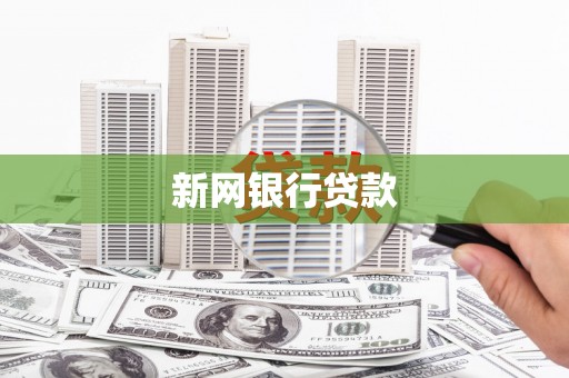 芦洲新网银行贷款
