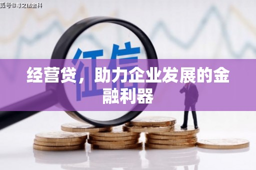 芦洲经营贷，助力企业发展的金融利器