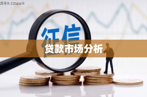 芦洲贷款市场分析