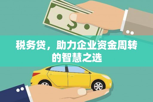 芦洲税务贷，助力企业资金周转的智慧之选