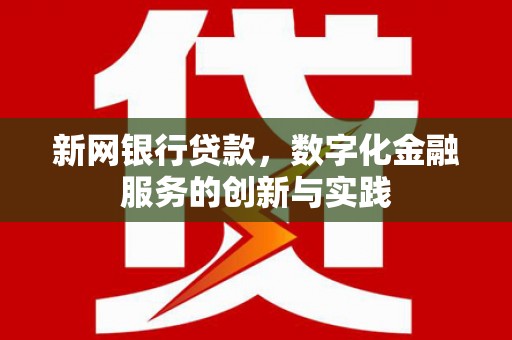芦洲新网银行贷款，数字化金融服务的创新与实践
