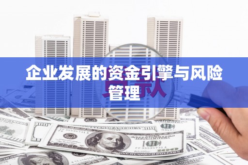 芦洲企业发展的资金引擎与风险管理