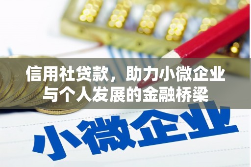 芦洲信用社贷款，助力小微企业与个人发展的金融桥梁