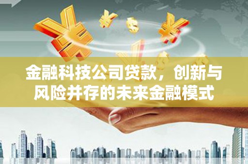 芦洲金融科技公司贷款，创新与风险并存的未来金融模式