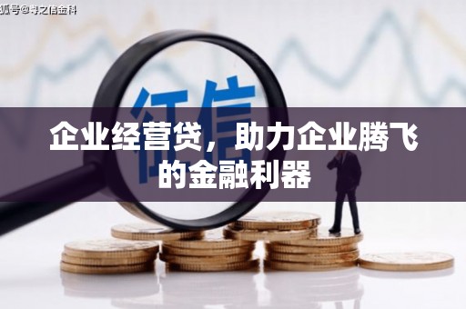 芦洲企业经营贷，助力企业腾飞的金融利器