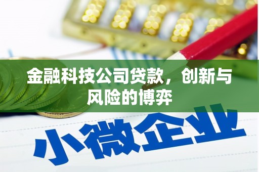 芦洲金融科技公司贷款，创新与风险的博弈