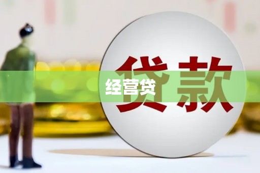 芦洲经营贷
