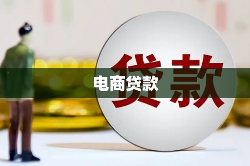 芦洲电商贷款