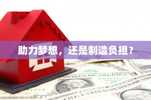 芦洲助力梦想，还是制造负担？
