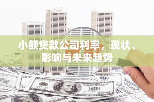 芦洲小额贷款公司利率，现状、影响与未来趋势