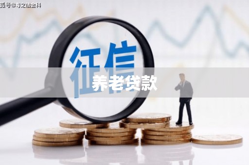 芦洲养老贷款