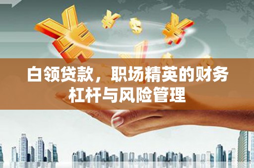 芦洲白领贷款，职场精英的财务杠杆与风险管理