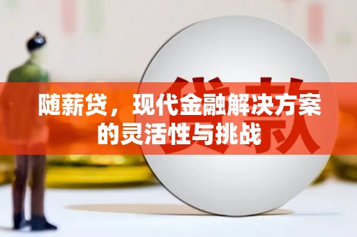 芦洲随薪贷，现代金融解决方案的灵活性与挑战