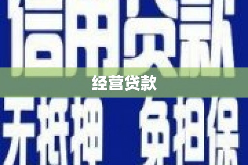 芦洲经营贷款