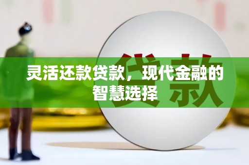 芦洲灵活还款贷款，现代金融的智慧选择