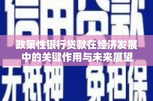 芦洲政策性银行贷款在经济发展中的关键作用与未来展望