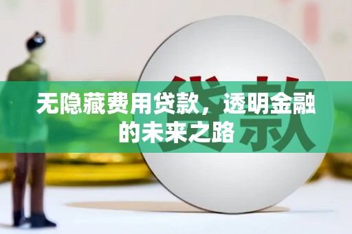 芦洲无隐藏费用贷款，透明金融的未来之路