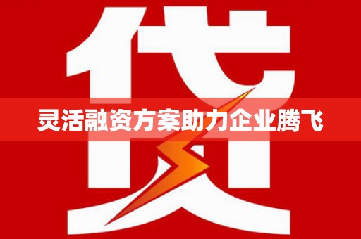芦洲灵活融资方案助力企业腾飞