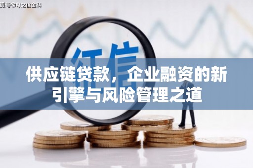 芦洲供应链贷款，企业融资的新引擎与风险管理之道