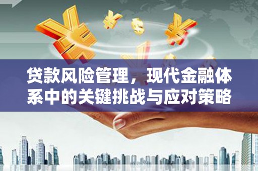 芦洲贷款风险管理，现代金融体系中的关键挑战与应对策略