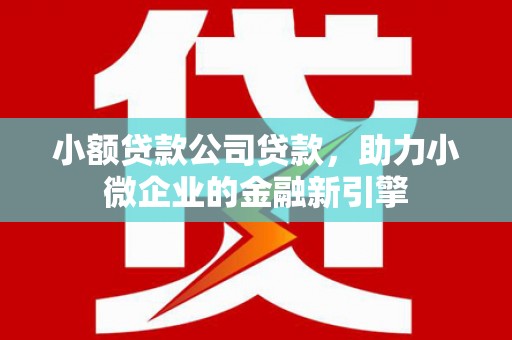 芦洲小额贷款公司贷款，助力小微企业的金融新引擎