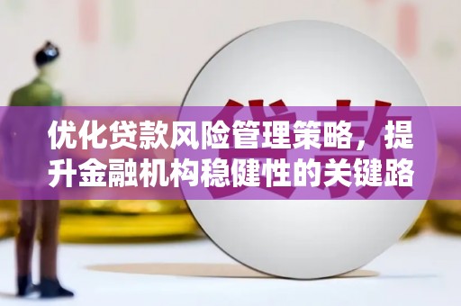 芦洲优化贷款风险管理策略，提升金融机构稳健性的关键路径