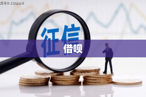 芦洲借呗